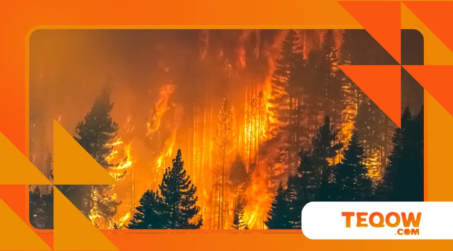 Canadian wildfire season